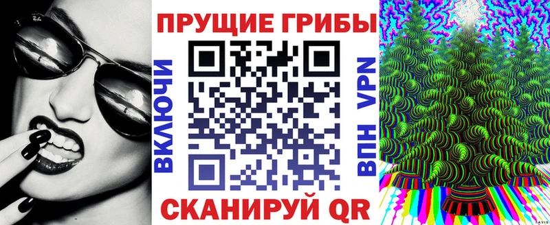 купить наркоту  Благодарный  Псилоцибиновые грибы ЛСД 